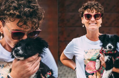 Pies i kot w Szwecji Kierunek Szwecja zasady wwożenia Swoboda