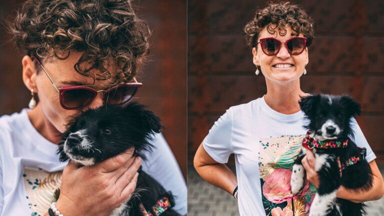 Pies i kot w Szwecji Kierunek Szwecja zasady wwożenia Swoboda